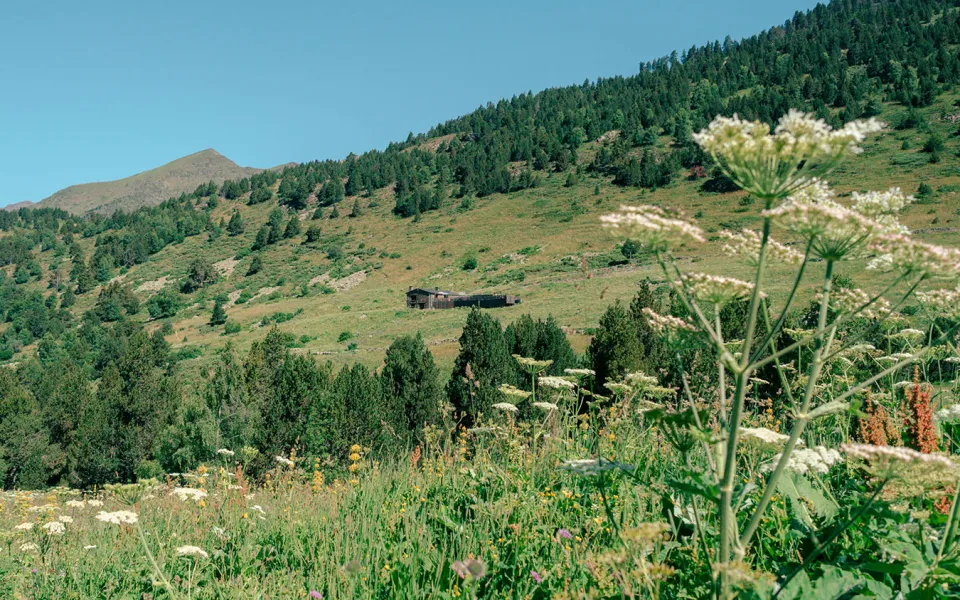 Refugio de Sorteny