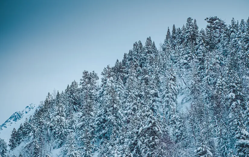 Ordino Arcalís nevat