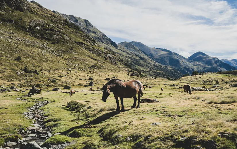 Ordino Arcalís