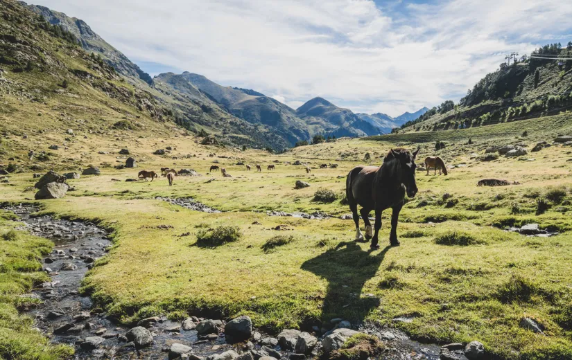 Ordino Arcalís