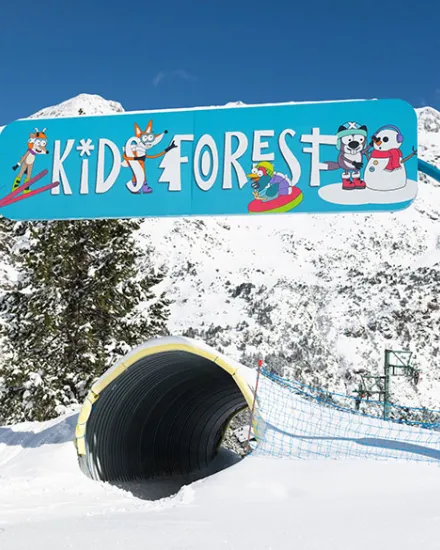 Kids Forest